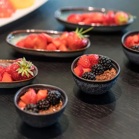 فندق Melia Frankfurt فرانكفورت